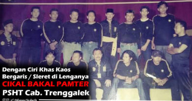 sejarah pamter paspamter