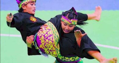 ipsi-pencak-silat