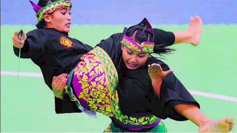 ipsi-pencak-silat