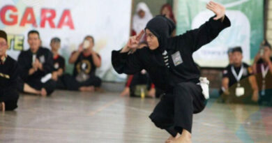psht arumdara teknik dasar pencak silat.jpeg