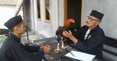 makna tes ayam jago pengesahan psht.jpeg